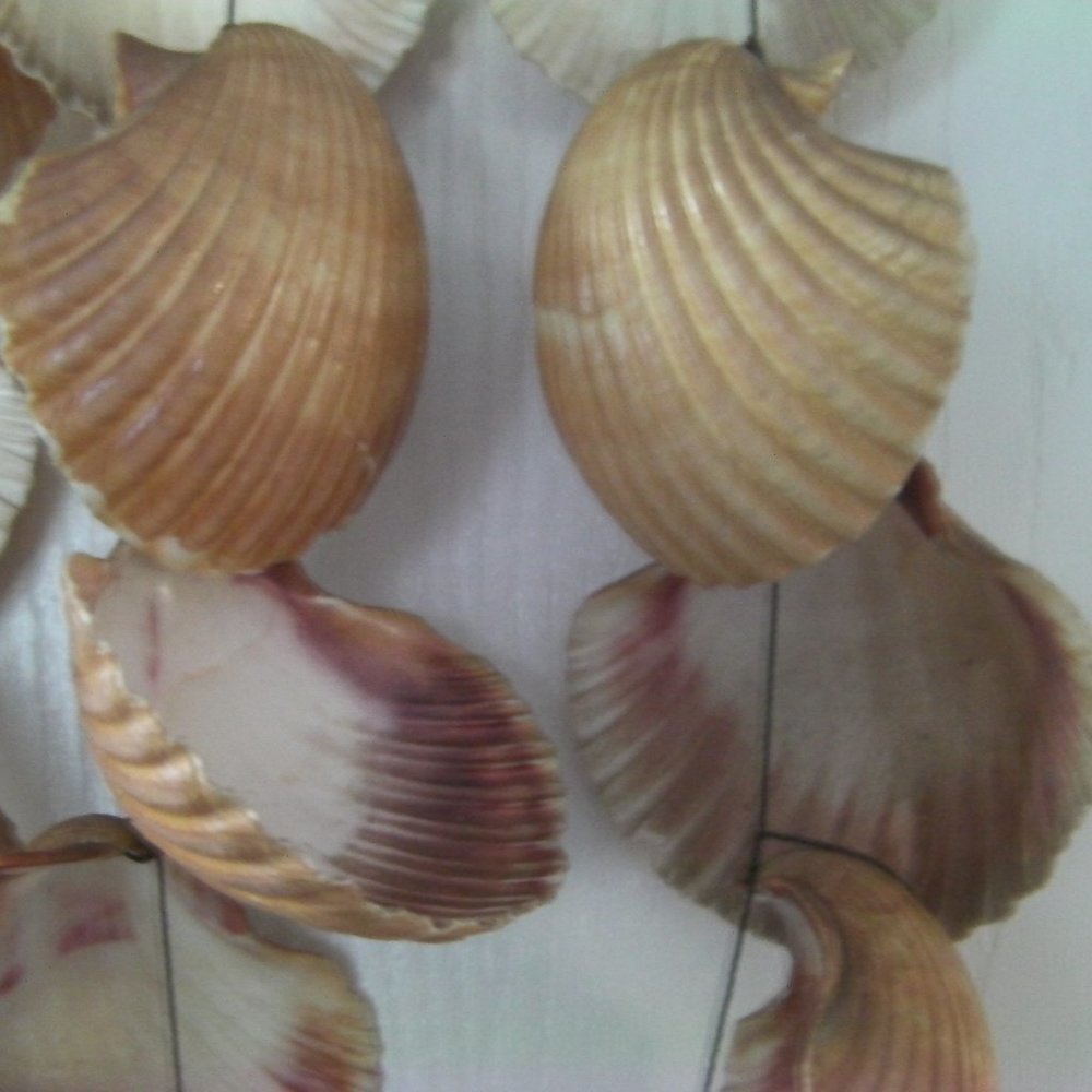 Crafted Shell Wind Chime - Picture 4 of 5
